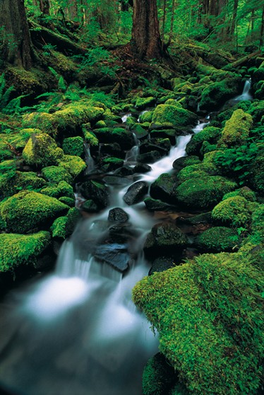 Olympic National Park, Washington