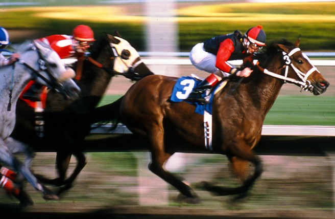 Bay Meadows Race Track, San Mateo, California